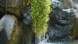 Waterfall in 4K slow motion 60fps Stock Footage