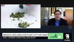 Berkeley Takes a Stand Against the War on Drugs News Clip