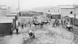 'This is Windsor's history right here:' Take a peek inside the Star's photo archives News Clip