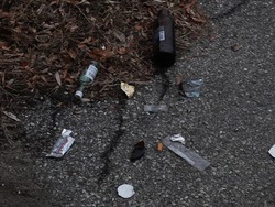 La Tierra y tú: recapitulando Instructional Video