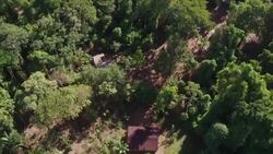 VOICED : Caciques de Brasil, preocupados por la salud indígena y las políticas de Bolsonaro News Clip