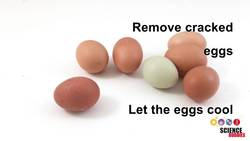 Is the Egg Raw or Cooked? That is the Question! Instructional Video