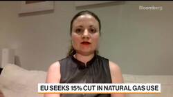 Putin Signals Key Pipeline to Europe Will Restart News Clip