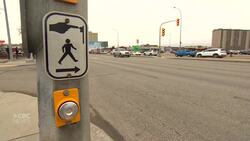 Number of pedestrian fatalities on the rise in Winnipeg News Clip