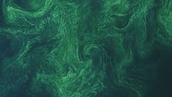 Landsat Helps Warn of Algae in Lakes, Rivers Instructional Video