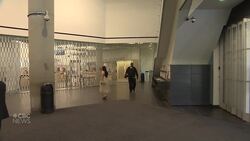 Latest Millennium Library death sparks calls for safety improvements News Clip