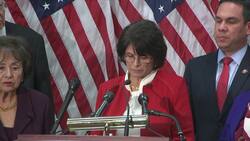 Democrats express optimism as border talks start News Clip