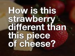 Your Diet: What's in Food? Instructional Video