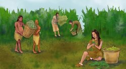 Living in India Instructional Video