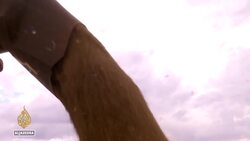 Ukraine war triggers global fertiliser shortages News Clip