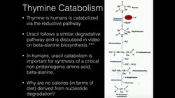 Thymine Catabolism Instructional Video