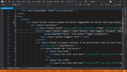 The Complete Guide to ASP.NET Core MVC (.NET 5) - Bootswatch Header and Footer Instructional Video