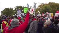 Striking teachers hold noisy rally in Chicago park Instructional Video