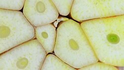 slicce garlic rotation Stock Footage