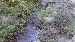 Mountain River streaming, Transparent Water and stones Stock Footage