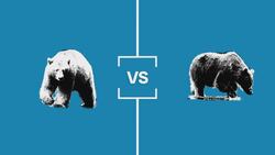 Search for B.C.'s Best Symbol: Round 2 — Animals News Clip