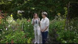 Made in Connecticut: Frances Palmer News Clip