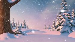 Christmas Background, Winter Forest Stock Footage