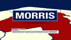 66-year-old woman struck and killed by car in Morris County News Clip