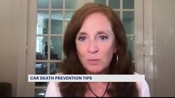 Likelihood of hot car deaths increases as New York City sees hottest week of the year so far News Clip