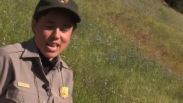 Episode 1: Wildflowers