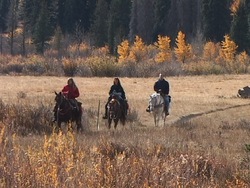 Otoño: introducción Instructional Video