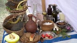 Lifestyle of an American farmer Stock Footage