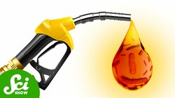 How Can E. coli Help Save Humanity? Instructional Video