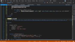 The Complete Guide to ASP.NET Core MVC (.NET 5) - Common Error and Delete Product Instructional Video