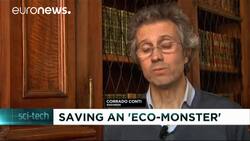 Italy: Bringing the eco-beast back from the brink! News Clip