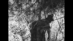 French military action in the First Indo-China war, 1954 News Clip