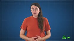 Tank to Table: How Scientists Make Bigger, Tastier Seafood Instructional Video