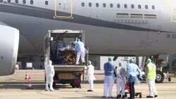 CLEAN : Evacuated coronavirus patients arrive at Brest airport News Clip