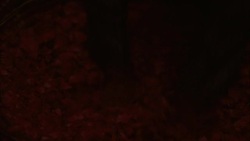 CLOSE ANGLE OF CHILDREN'S HANDS GRABBING HANDFULS OF FLOWER PETALS FROM BASKET. Stock Footage