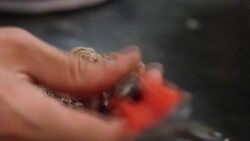 CLEAN : FILE: World's largest triceratops skeleton goes under the hammer in Paris News Clip