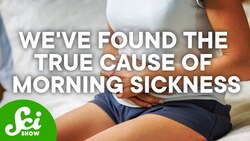 Is Morning Sickness Actually Preventable? Instructional Video