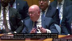 In UN speech, Zelenskyy renews calls for Russia to leave Ukraine News Clip