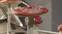 Fantastic fungi: Exhibit explores mushroom art, future uses Instructional Video