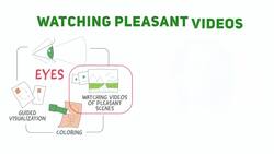 How To Use Your Five Senses To Reduce Anxiety Instructional Video