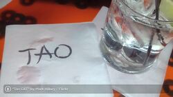 What Are the Best Las Vegas Clubs? Instructional Video