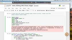 Evaluate the impact of an AI application used in the real world. (case study) : Working with Flower Images: Case Study - Part 1 Instructional Video