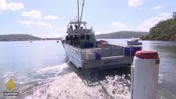 Australia's seafood industry hit by coronavirus curbs News Clip