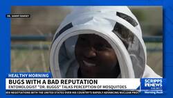 Entomologist 'Dr. Buggs' on why eradicating mosquitos might not be a bad thing News Clip