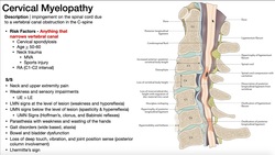 Cervical Myelopathy | Presentation, Risk Factors, & Signs/Symptoms Instructional Video