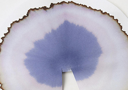 Advanced separation Instructional Video