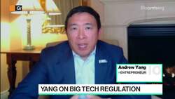 Andrew Yang on VC Landscape, Big Tech Regulation News Clip