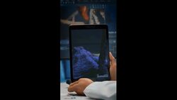 Octopuses Have Nightmares Instructional Video