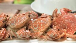 Thai seafood steamed crab Stock Footage