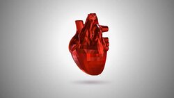 3D animation of a Beating low poly human heart (Loop 4k + Chroma key) Stock Footage