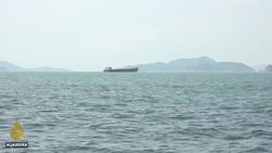 Rare pink dolphins return to Hong Kong amid lockdown News Clip